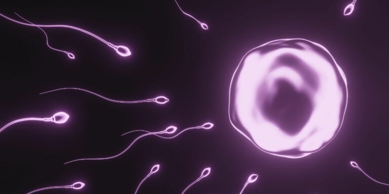 What is Semen and What is Semen Analysis